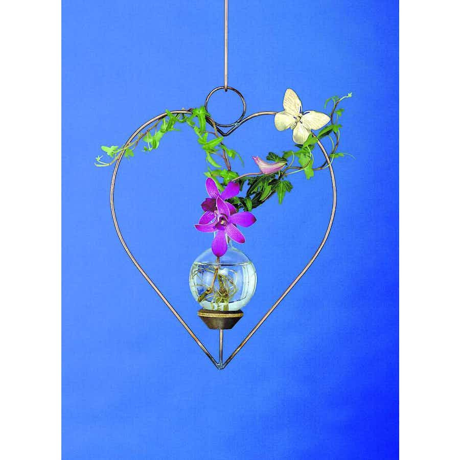 Heart Plant Propagation Rooter Vase with plants and flowers and a blue background