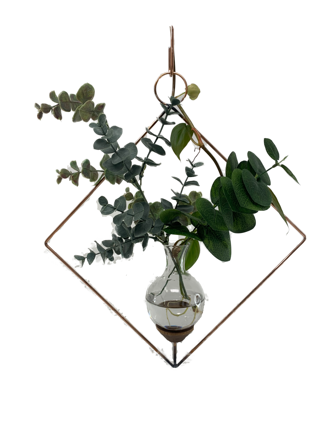 Square Plant propagation rooting vase and matching hook, with transparent background and plant