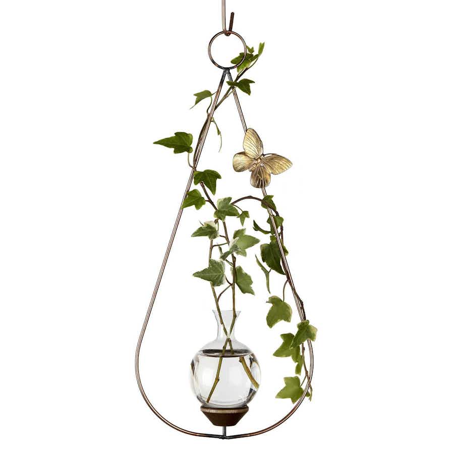 Teardrop Plant Propagation Rooter Vase with ivy plant in water