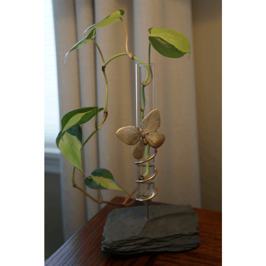 Test Tube with plant and water with brass butterfly on slate base