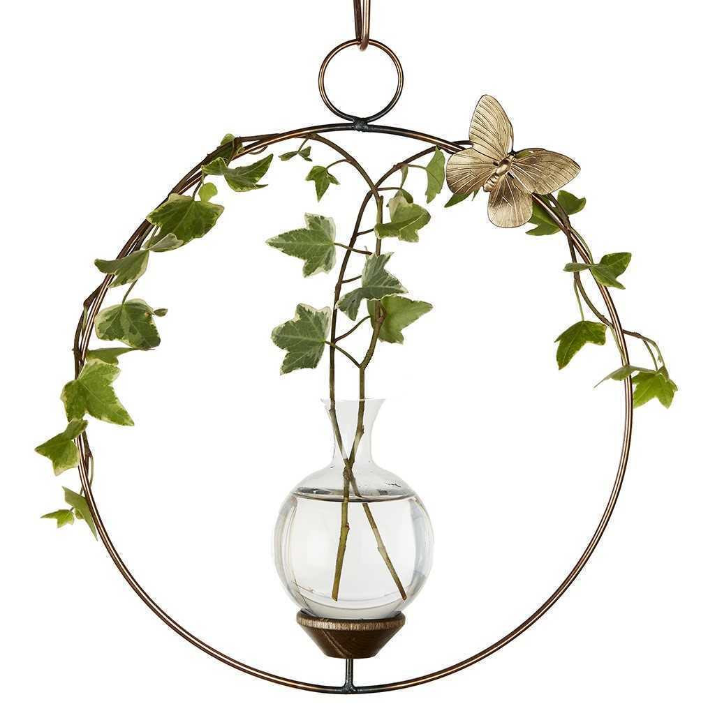 Round Plant Propagation Rooter Vase with ivy plant