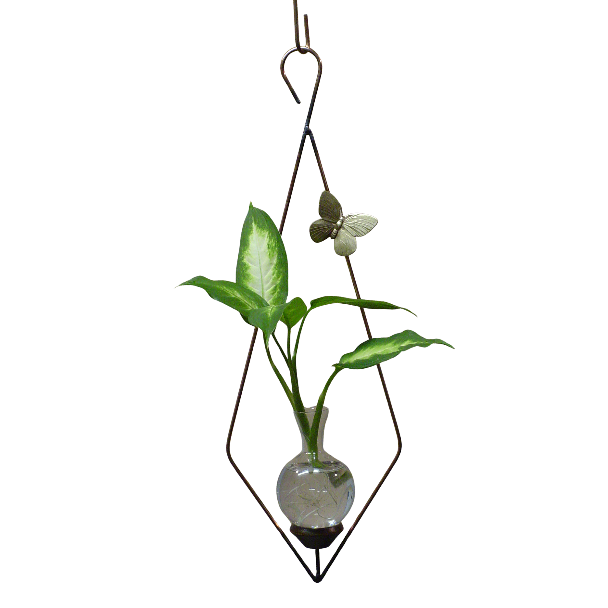 Diamond hanging rooting vase with Brass Butterfly accent and handblown glass vase with plant cutting in water