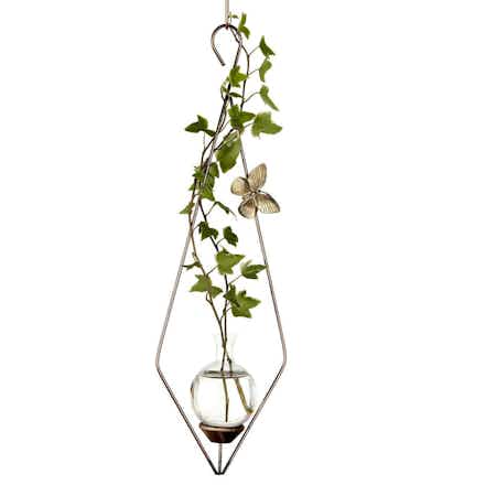 Diamond Plant Propagation Rooter Vase with ivy plant cutting in water