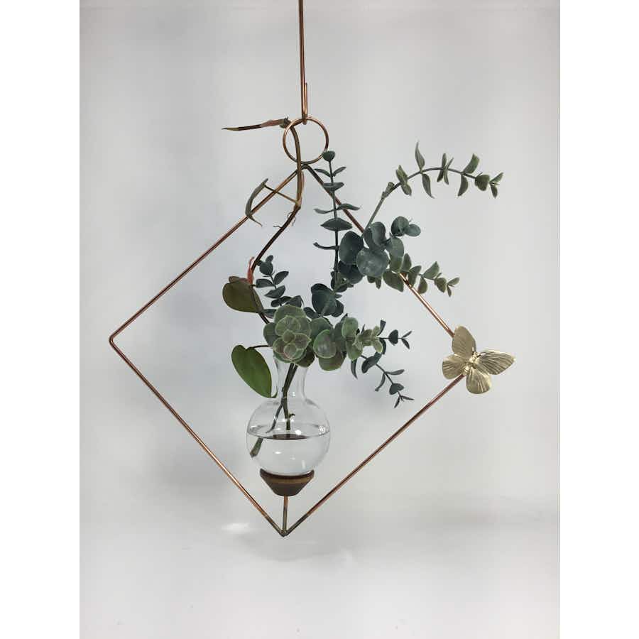 Square Plant propagation rooter vase with brass butterfly and ivy plant